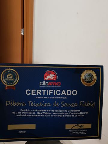 Dog Walker/ Passeador de cães ? - Foto 2