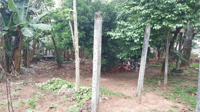 02 terrenos juntos! (possível venda separada) - Foto 5