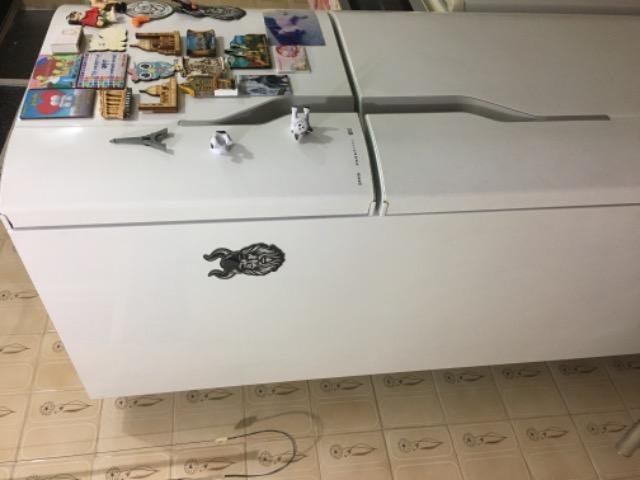 Geladeira Eletrolux Frost Free 2 Portas 261L - Foto 2