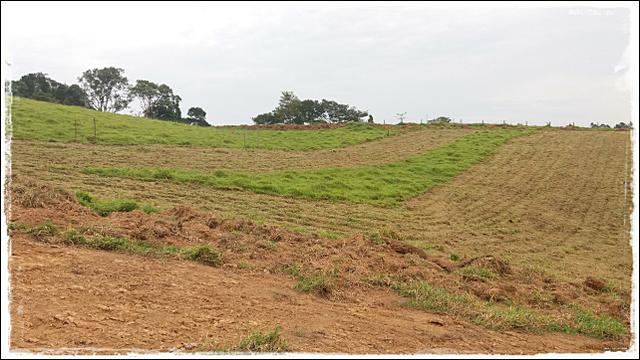 Vendo meu terreno em Ibiúna - Foto 3