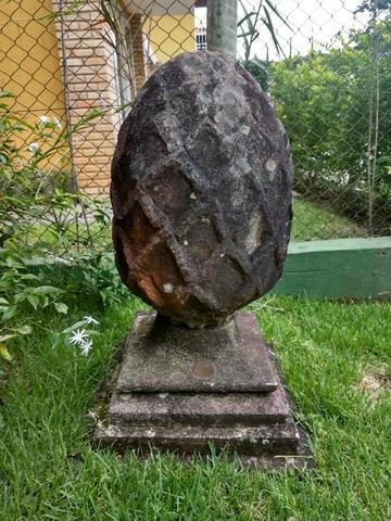 Par de Raras Pinhas Portuguesas - Foto 2