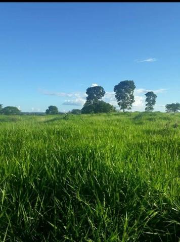 109 Alq. Entrada 50% Da Condições Planta 75 Dupla Aptidão Da Pivô Estruturada Piranhas GO - Foto 14