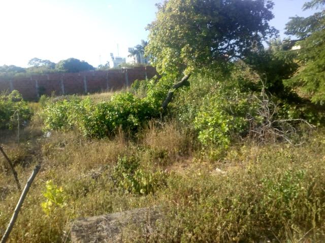 Vendo lote em Pirangir praia - Foto 6