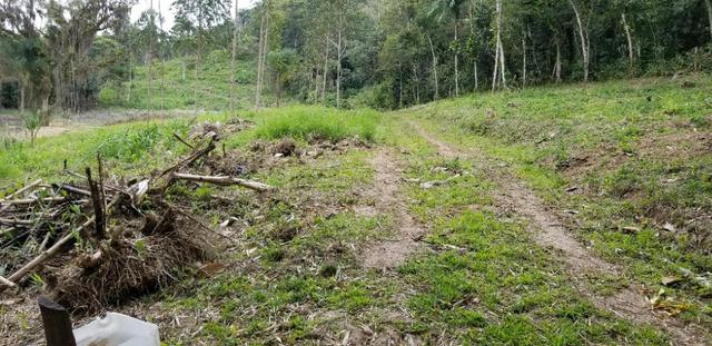 Terreno - Sitio - Chácara - Foto 8