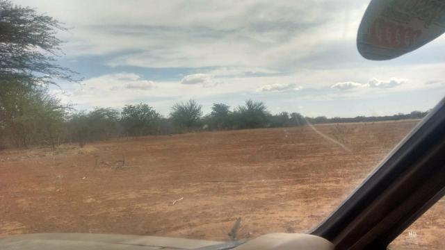 Vendo terreno em Recife de Jussara- Bahia. Contato 11- * - Foto 5