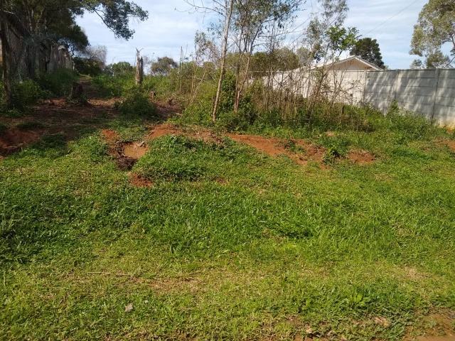 Lote de Terreno Jardim Del Rey - Foto 3