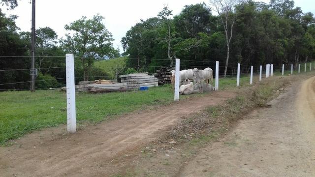 Fazenda 15 alqueires - Foto 8