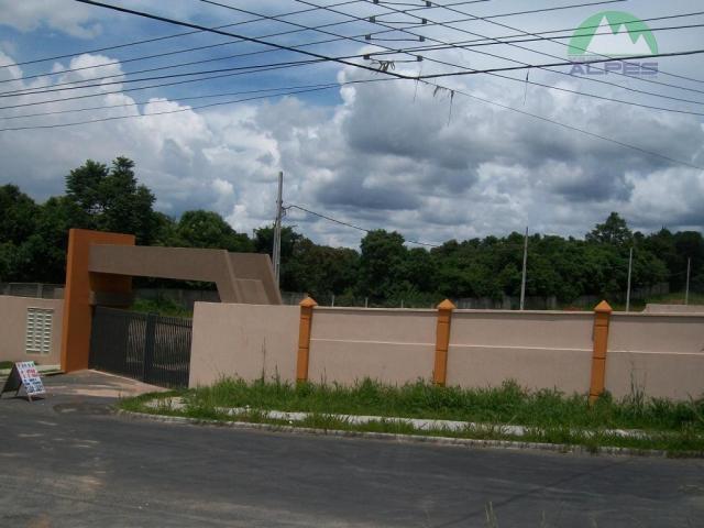 Terreno residencial à venda, braga, são josé dos pinhais. - Foto 4