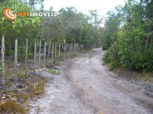 Fazenda com 52,5 Hectares com Fábrica de Azeite de Dendê à Venda na Ilha de Boipeba 402074 - Foto 6
