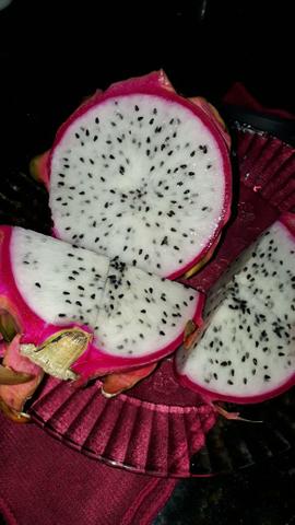 Mudas de pitaya/pitaia polpa vermelha e branca - Foto 6