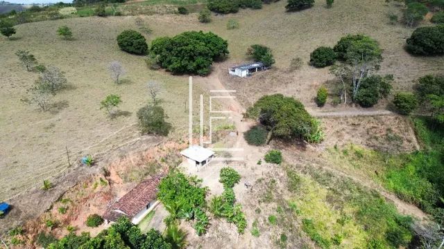 Fazenda completa de 14 hectares em União dos Palmares-AL - Foto 4