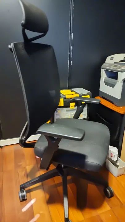 Cadeira Ergonômica Flexform Volare - Excelente Estado