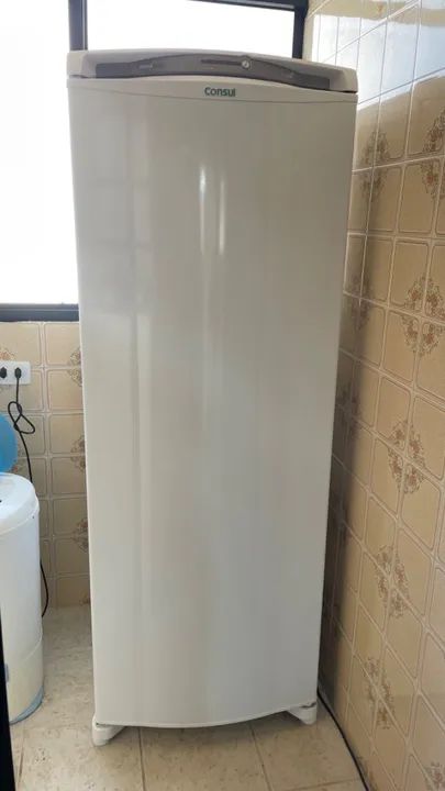 Geladeira 10 meses de uso