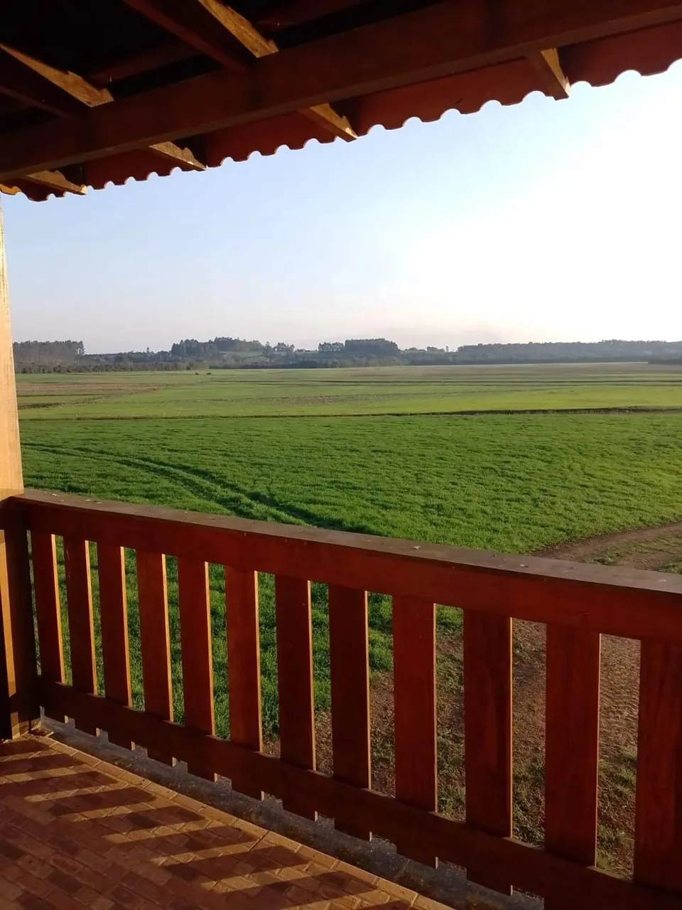 São Mateus do Sul/ PR/ Canoinhas/SC, Fazenda 528, 56 hectares ou 5.285.600m², Plantando 40
