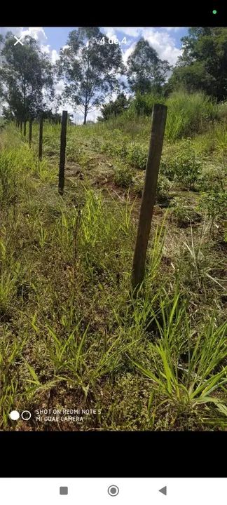 Chácara 8.000m2 Estrada São Domingos - Foto 3