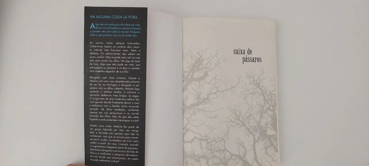 Livro Caixa de Pássaros  - Foto 3