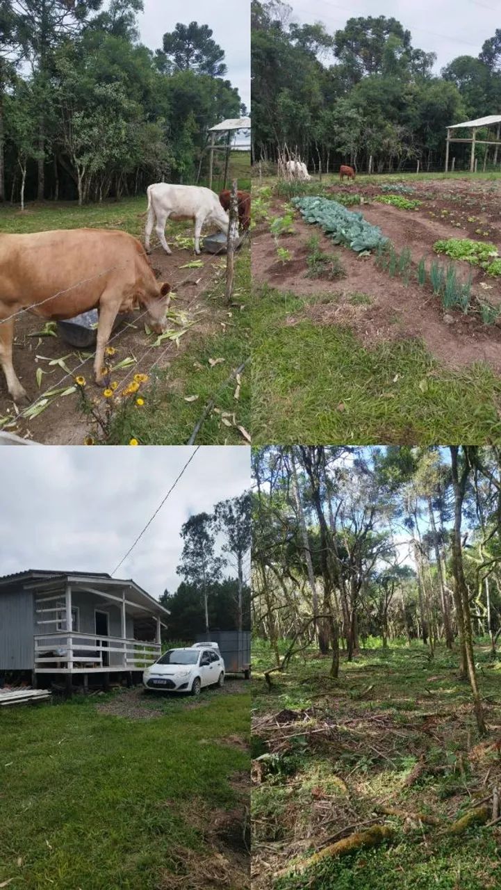 Sítio  a 25 km do centro de lages 
