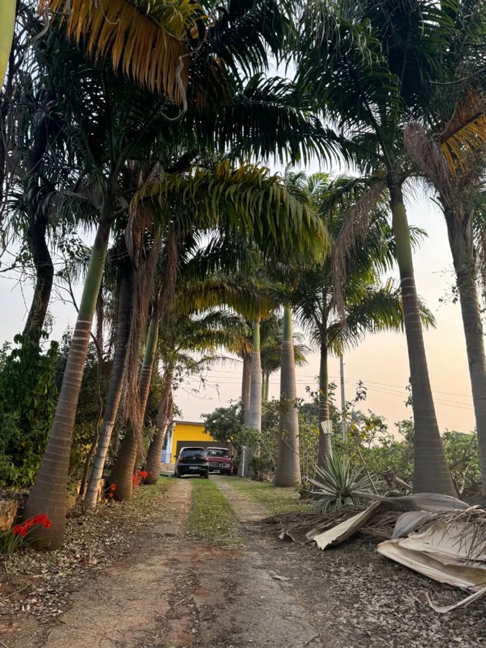 Foto - Campinas - Vila Estanislau