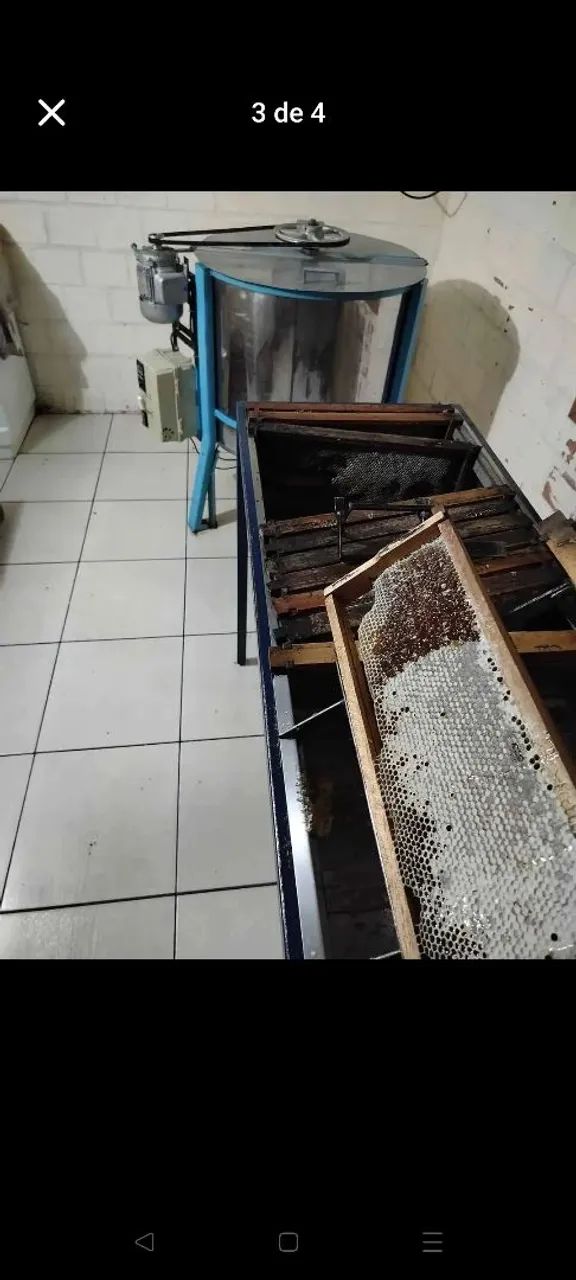 Mel novinho promoção de início de safra 