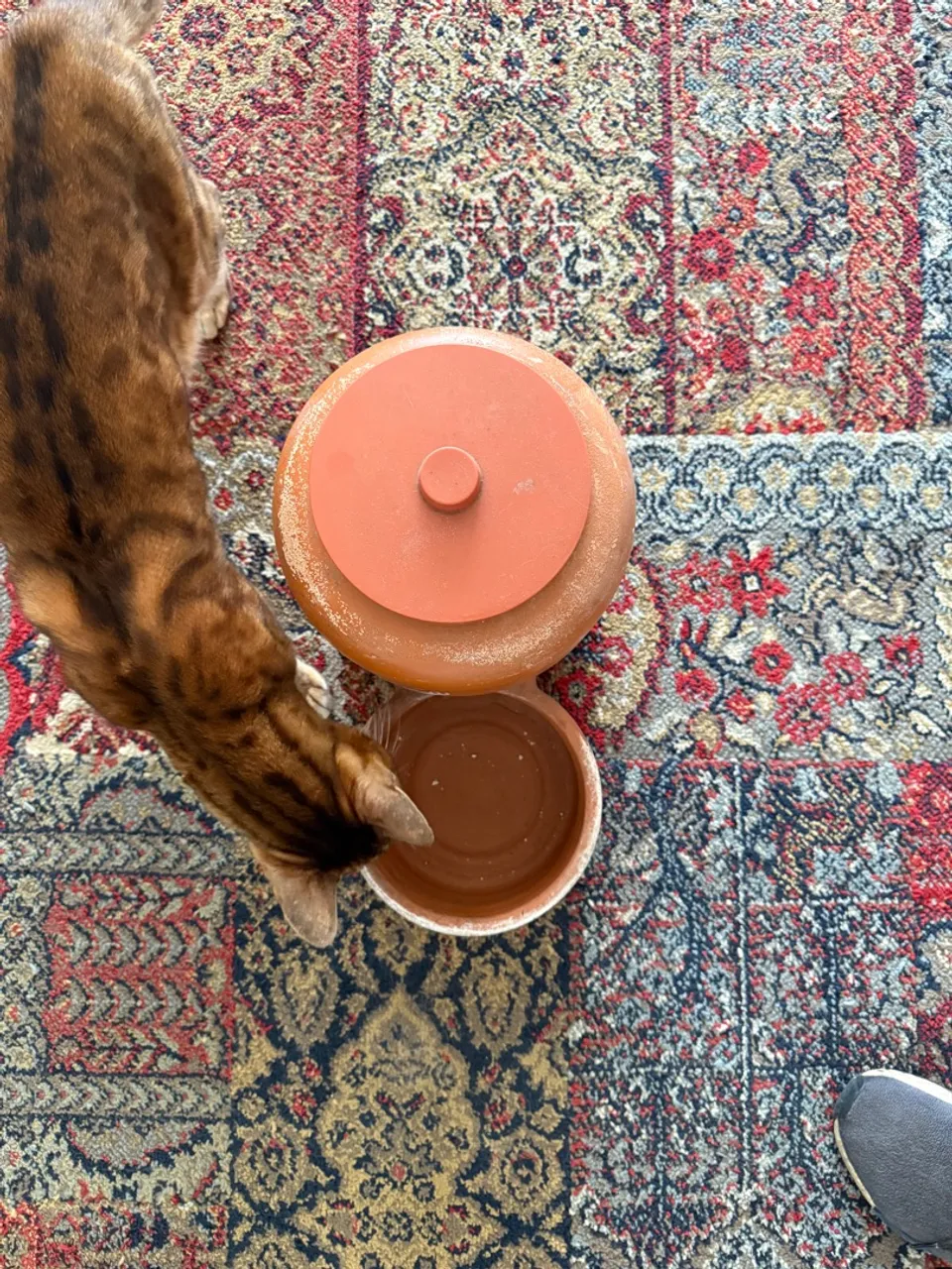 Bebedouro para Gatos em Cerâmica