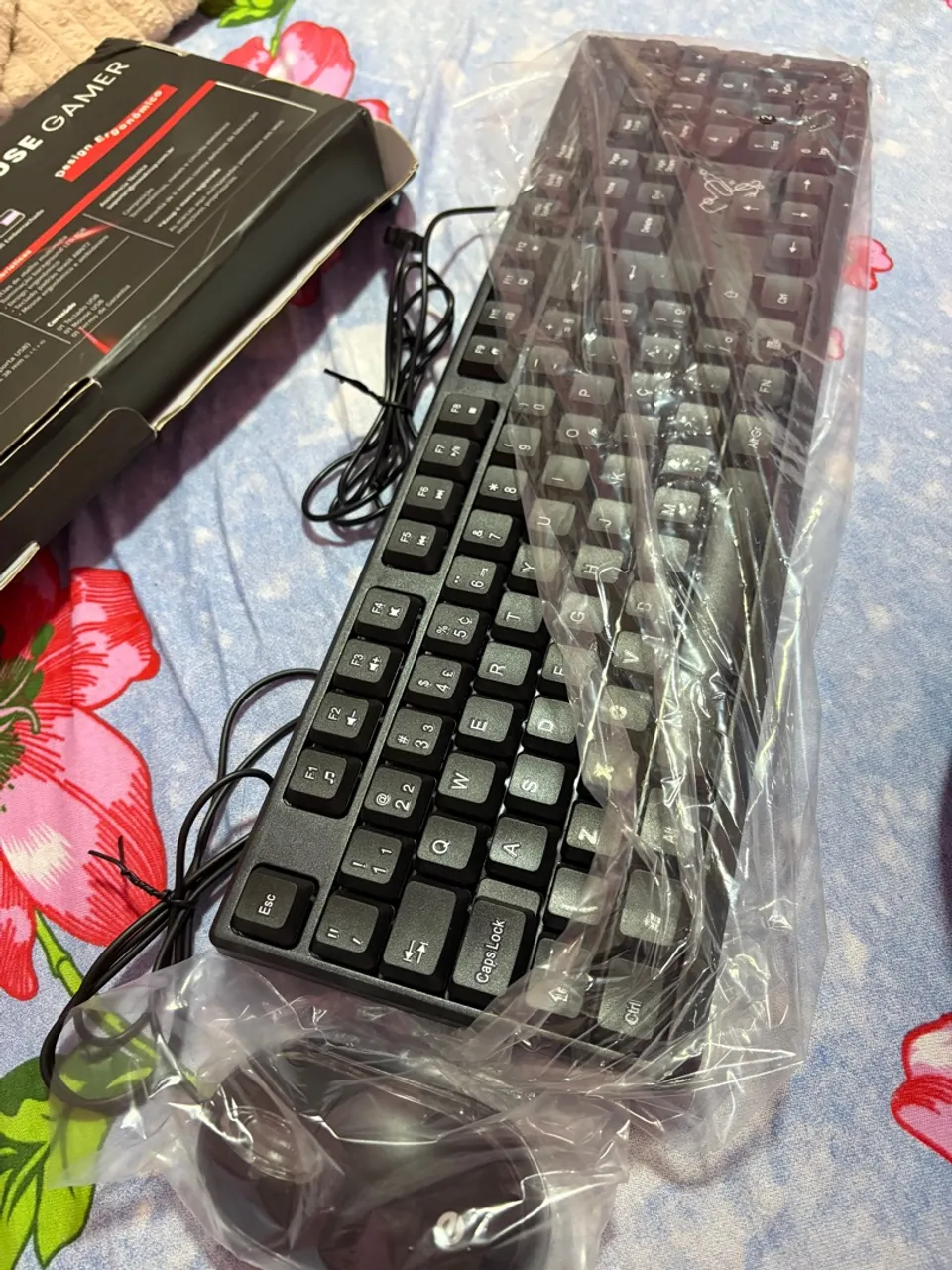 Teclado e Mouse