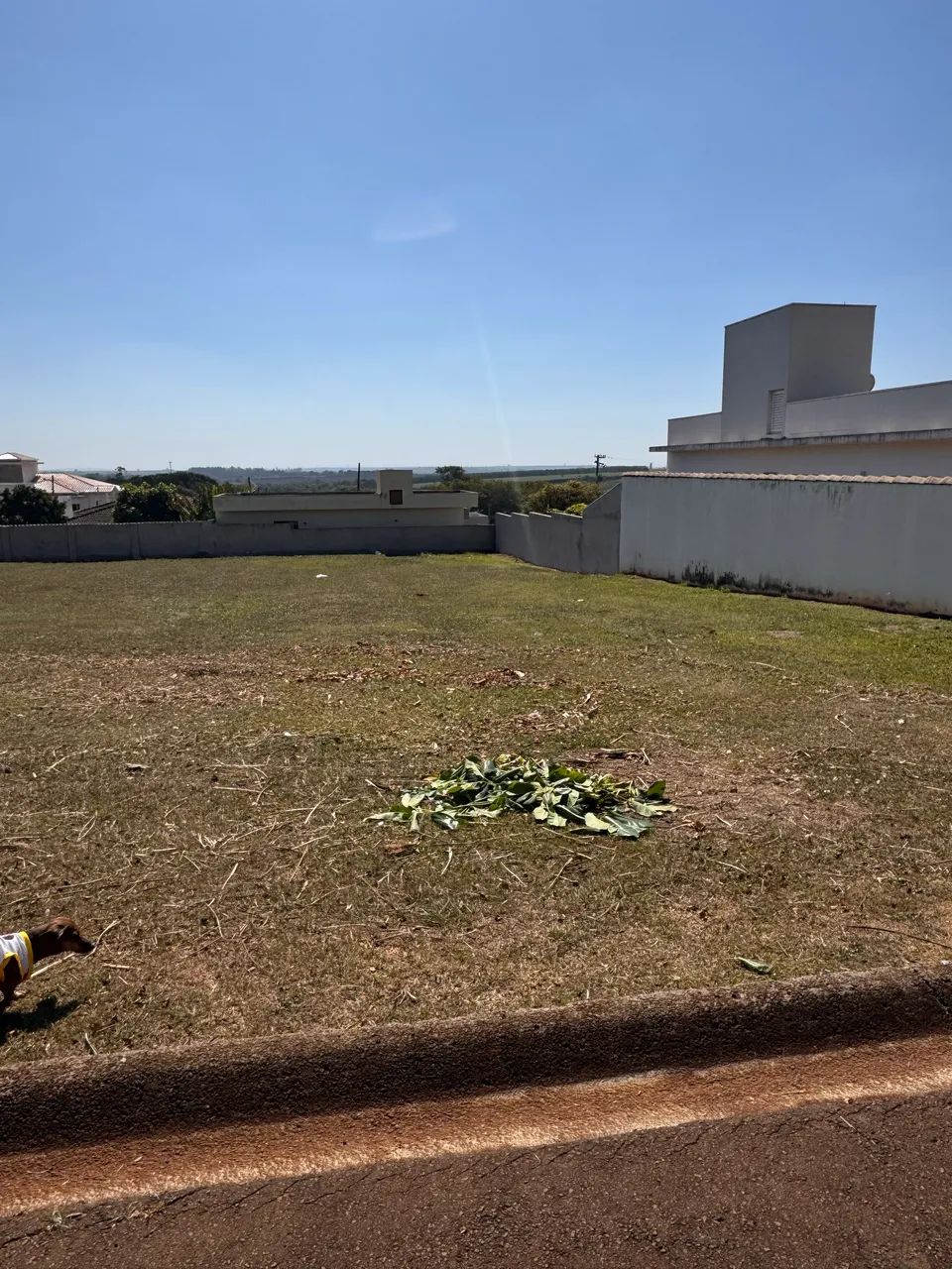 Foto - Campinas - Bonfim