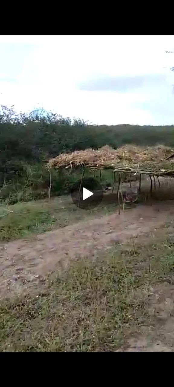 12 tarefas+ casa avenda  - Foto 7