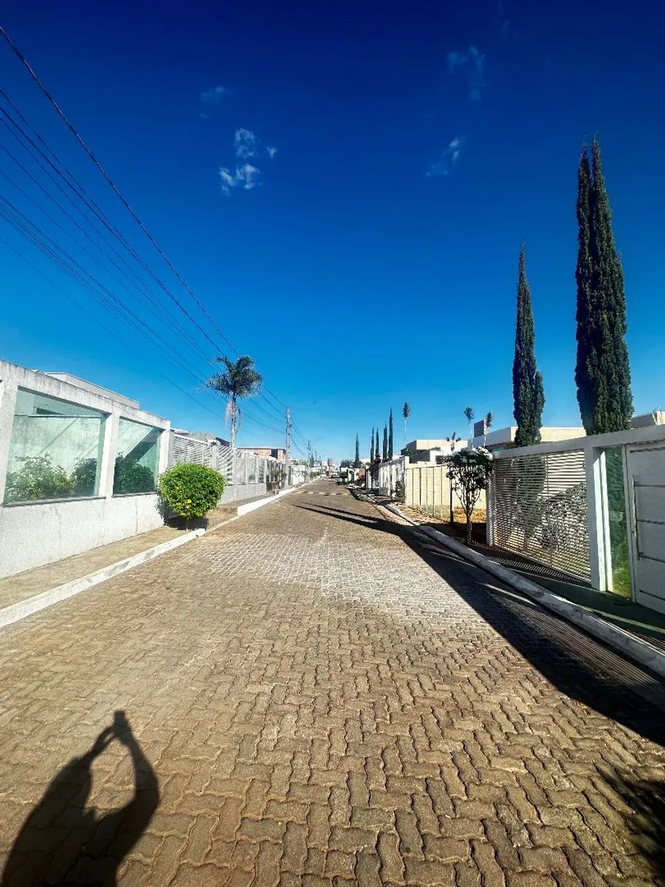 LOTE COM FLAMBOYANT- R. ALAMEDA DOS IPÊS  - Foto 2