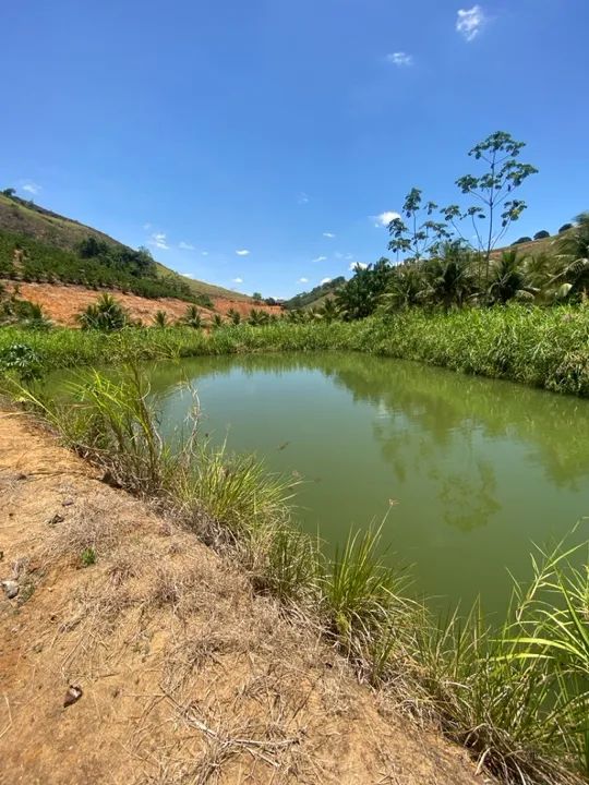 Terreno com com 2 tanques de peixe