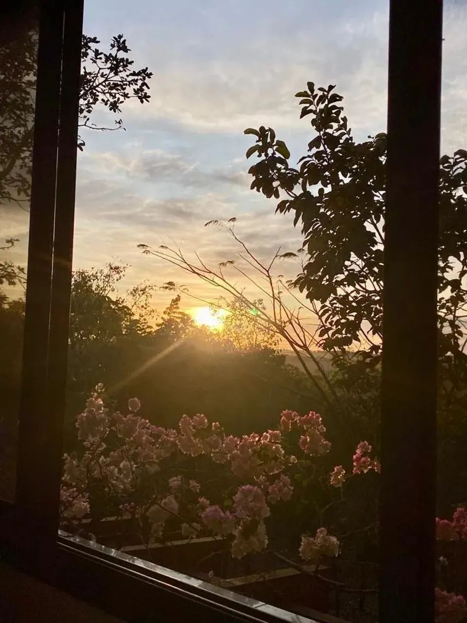 chacara proxima a Goiania saida para Bela Vista - Foto 5