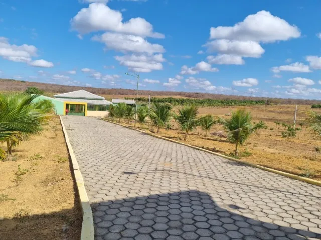 Fazenda em Canto do Buriti do Piauí