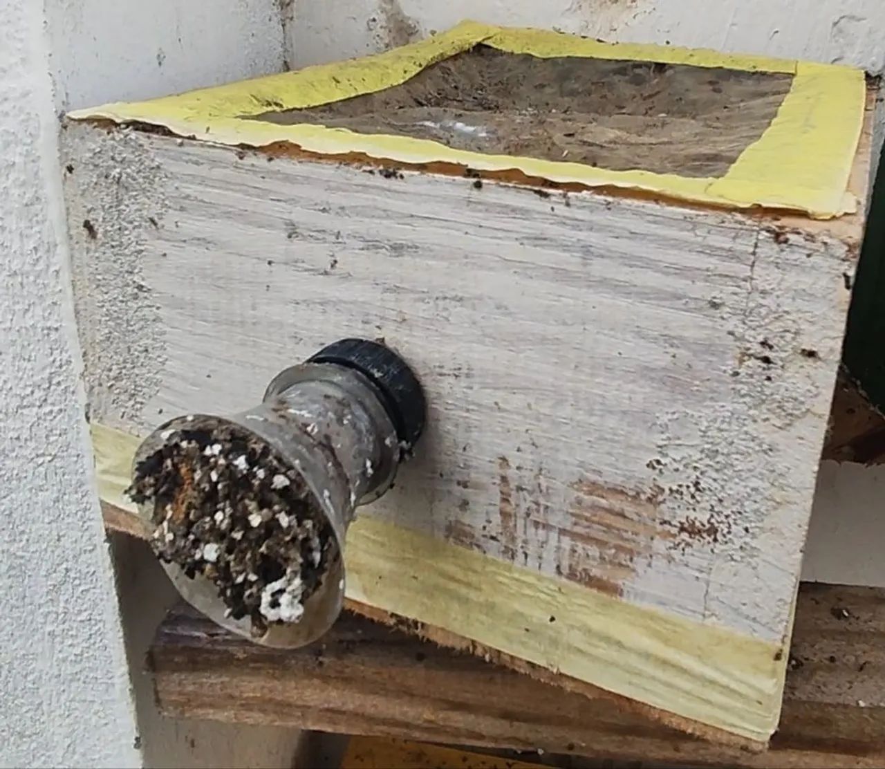  Mel de Abelha Mandaçaia  - Foto 5