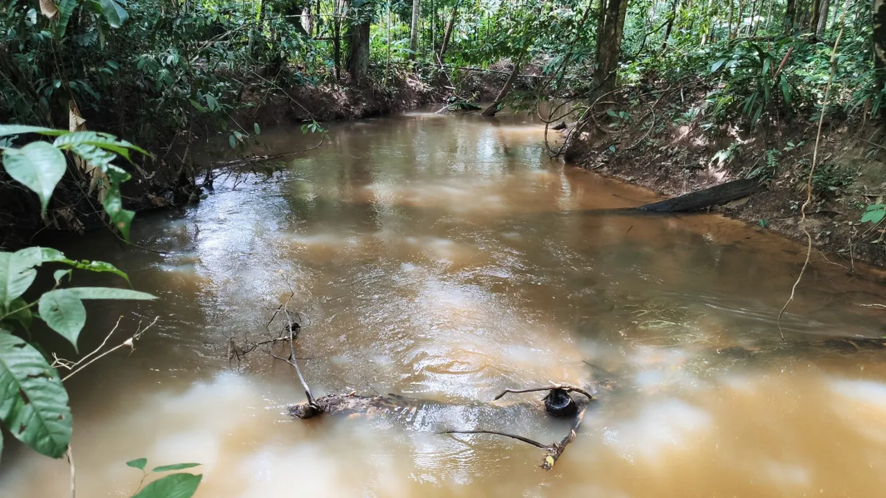 Chácara 50x100 com Igarapé Na Linha 17, BR 319, Sentido Humaitá.