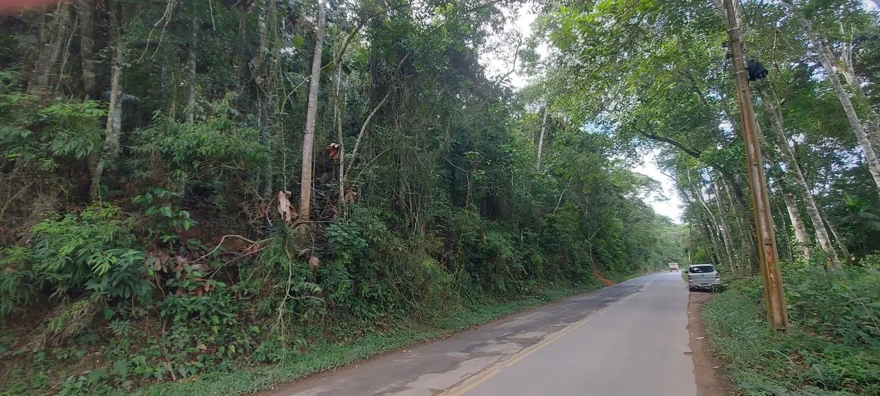 Área com 20.000 mts em Domingos Martins 