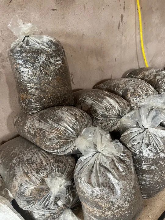 Vendo Adubo Orgânico  - Foto 2