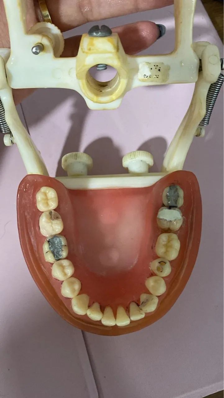 Manequim odontológico para treinamento - Foto 2