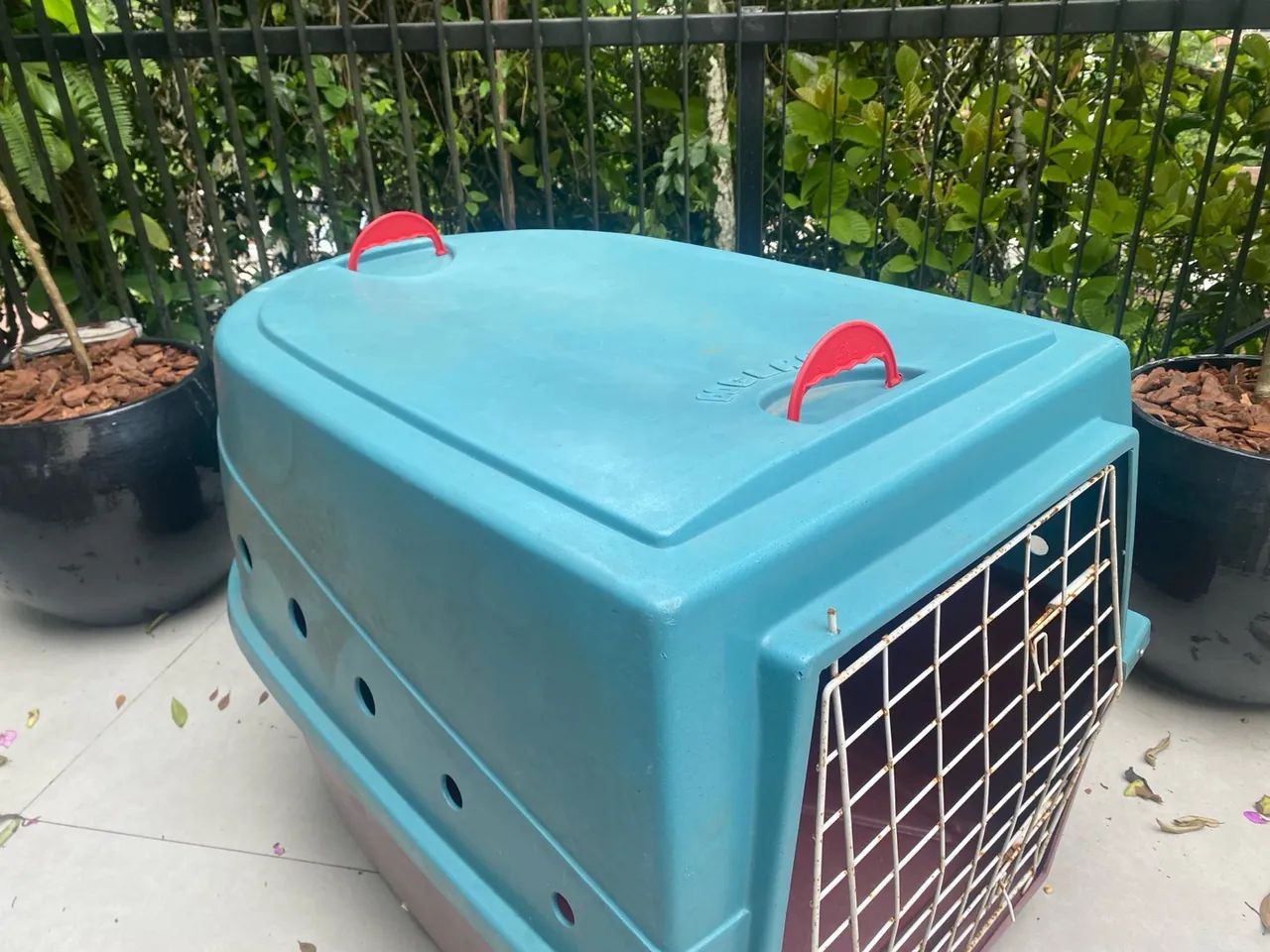 Caixa Transporte Cachorro Grande com rodinhas - Foto 3