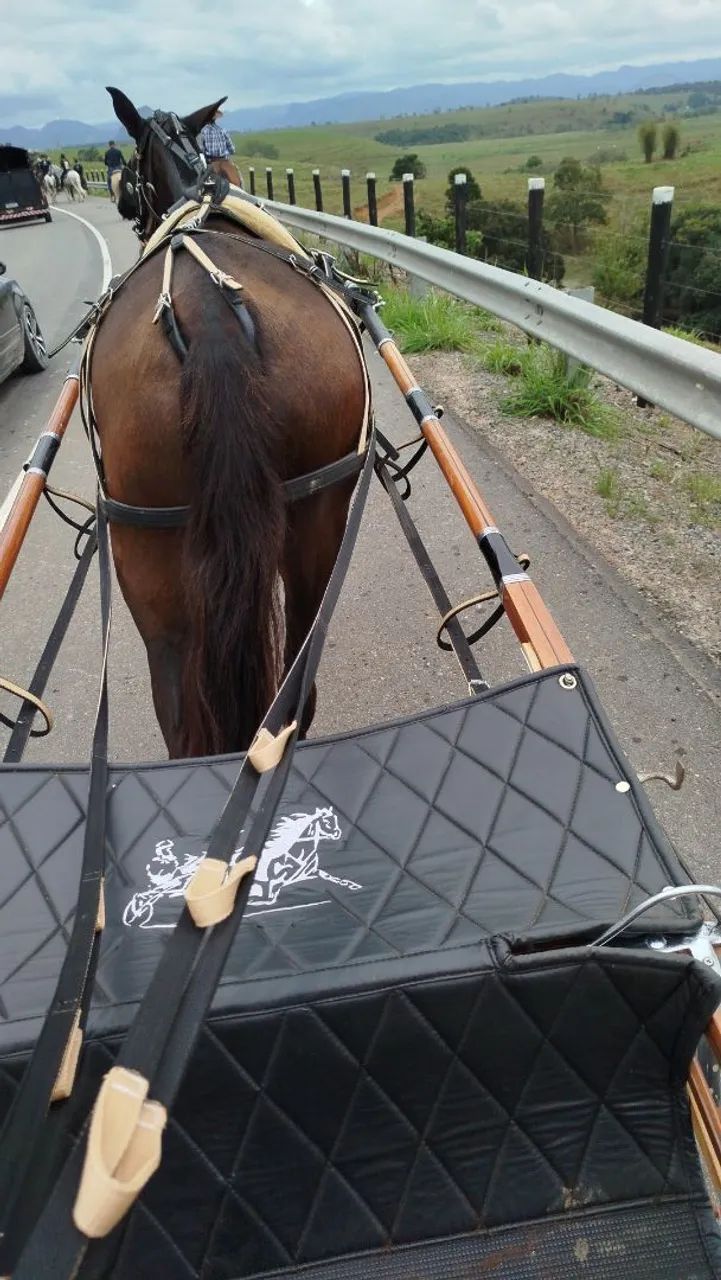 Charrete mais linda do ES - Foto 4