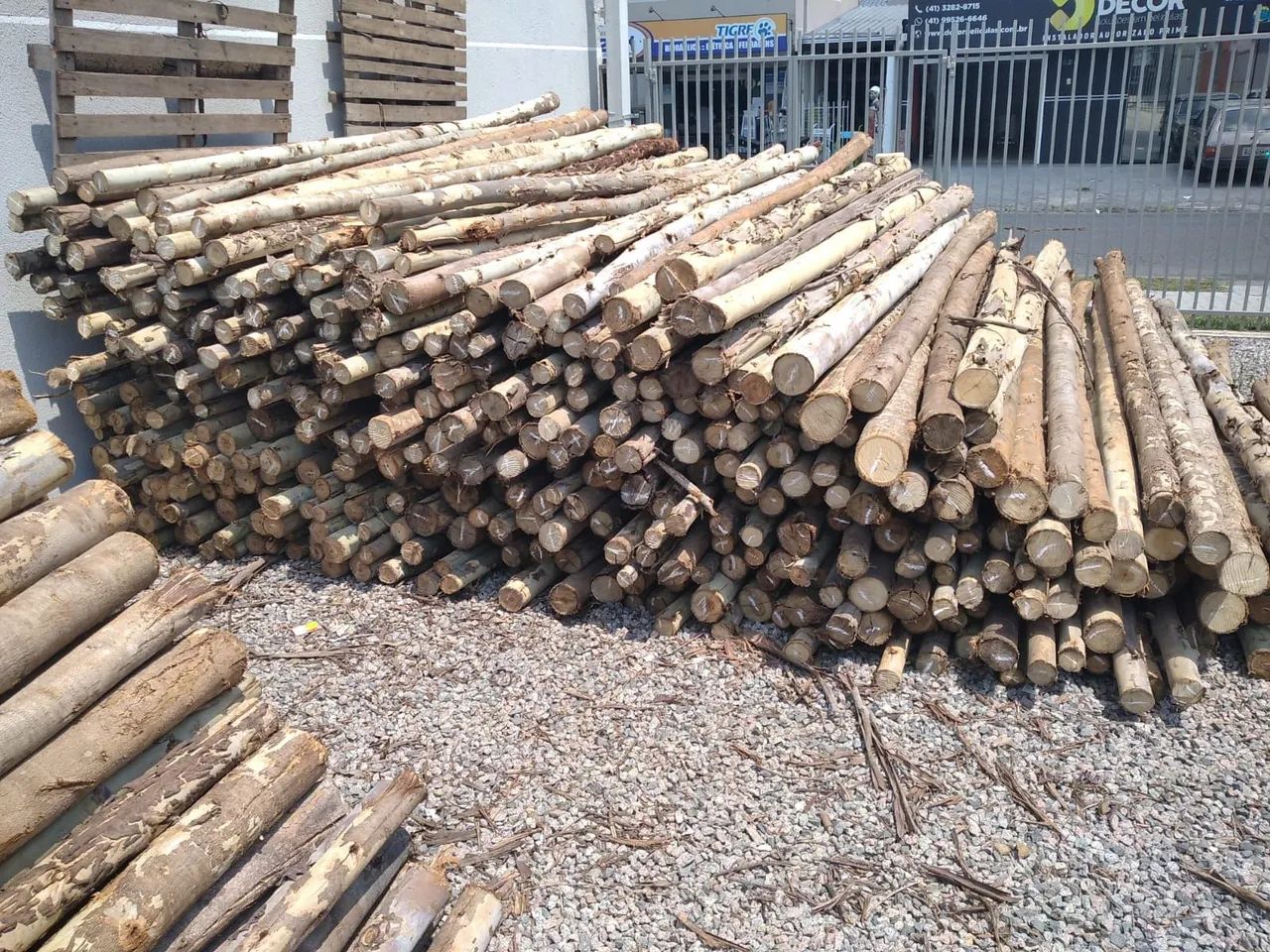 Escoras de eucalipto  - Foto 2