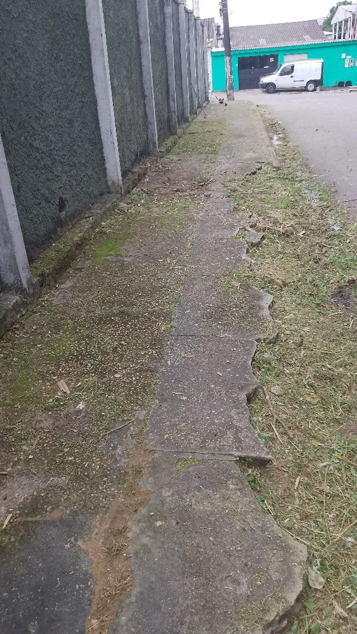 Serviço de roçagem