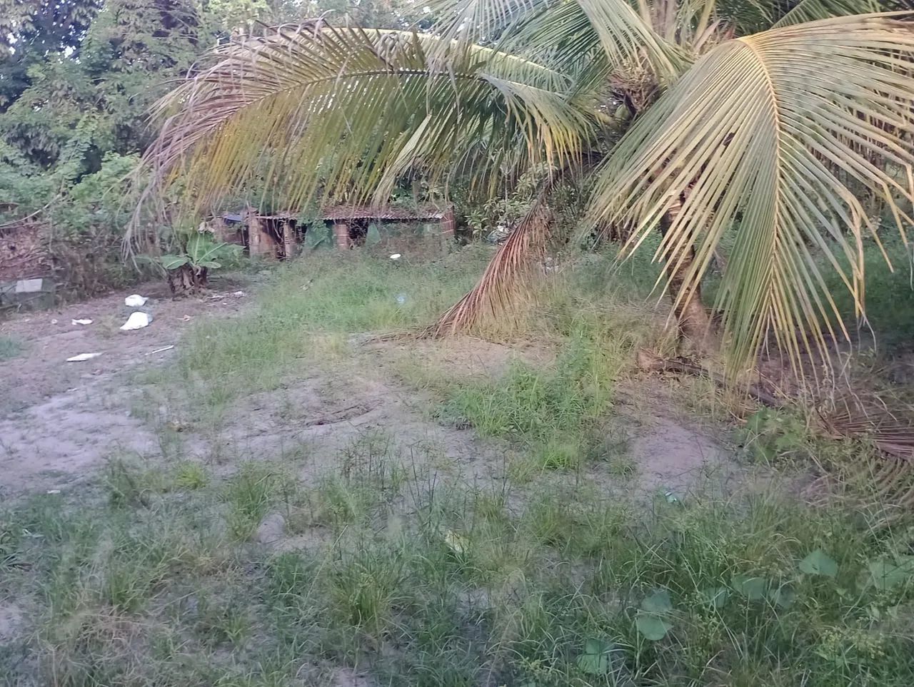 Vendo sítio em Camaragibe  - Foto 14