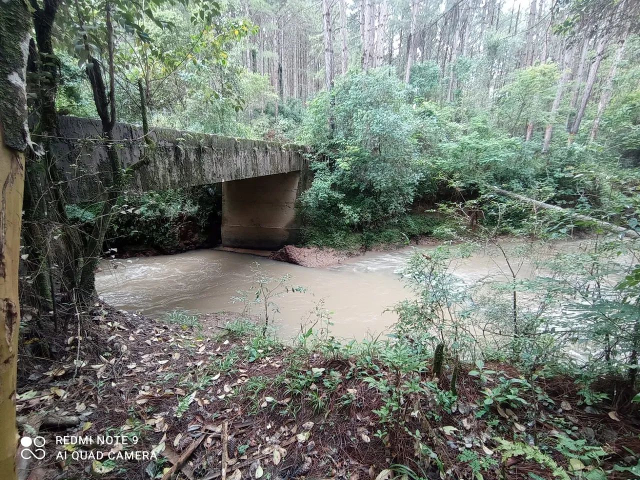 Foto - Ponta Grossa - Contorno