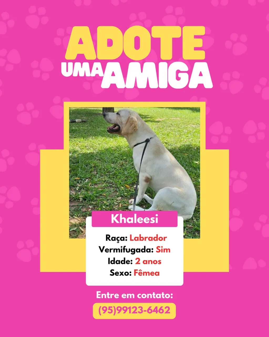 Doasse pastor alemão e labrador 