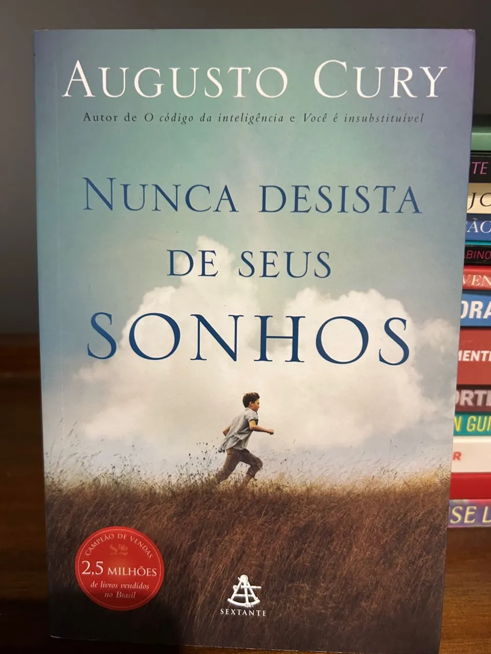 Livro Nunca Desista de Seus Sonhos - Augusto Cury