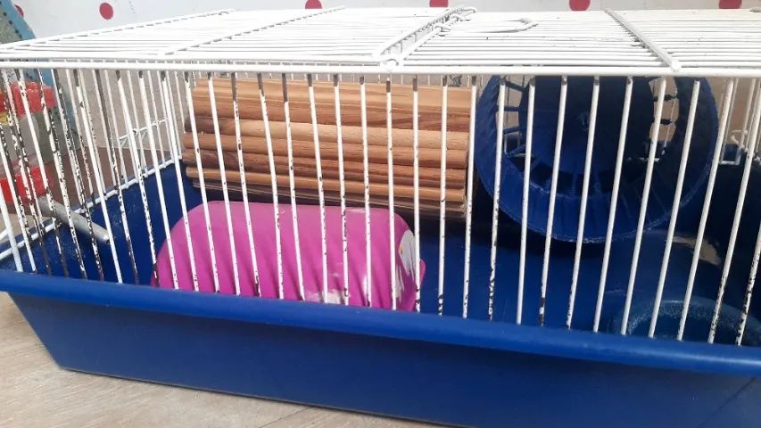 CADEIRAO INFANTIL , GAIOLAS HAMISTER  E GAIOLA TRANSPORTE PET - Foto 2