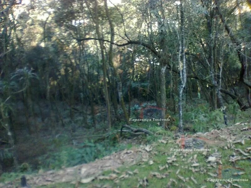 Residencial - Cururuquara - Foto 5