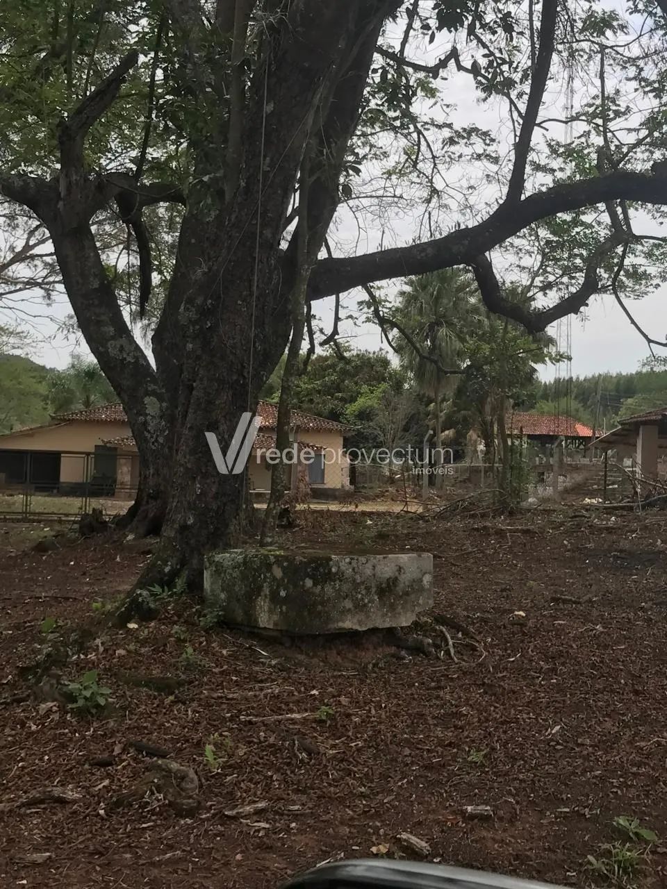Fazenda em Eleutério - Foto 2