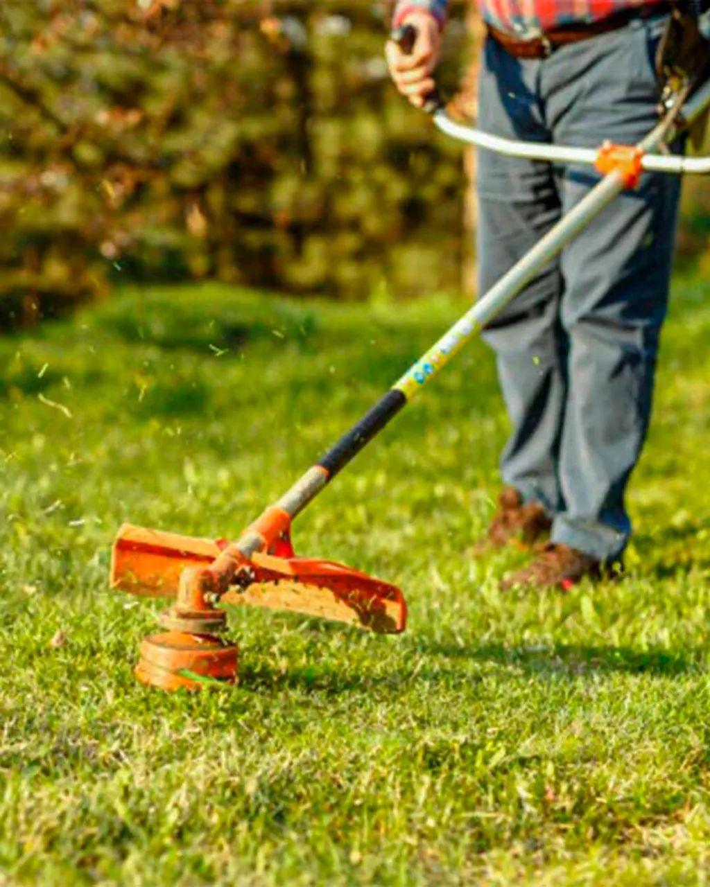 Serviços de roçada em lotes e terrenos .