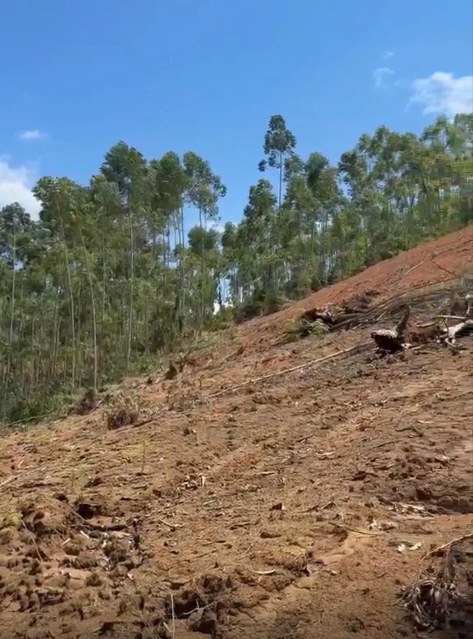 Terreno  - Foto 3