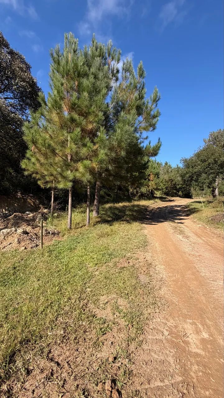 Chácara  - Foto 5